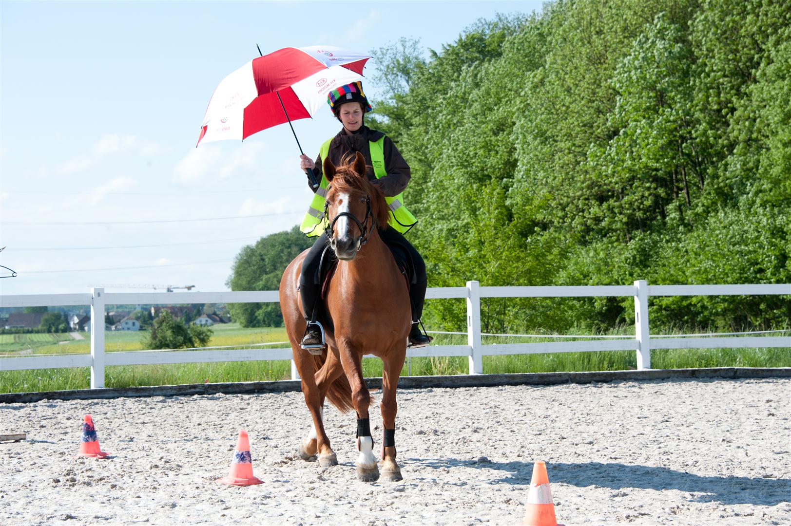 DSC_8569 (Large).jpg